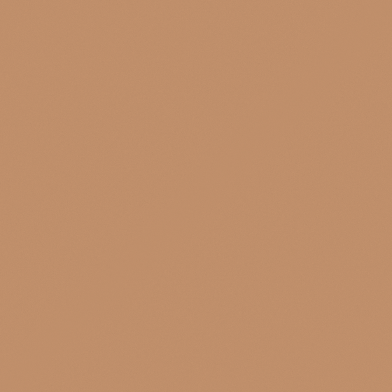 Carpolly Copper M2139-D Decorative Item in Wood Color