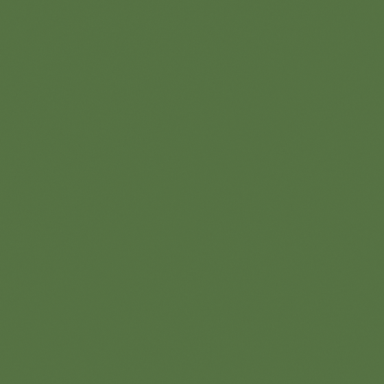 Carpolly Spring Onion Wall Paint A5094-A GY 88 43 50 in Green