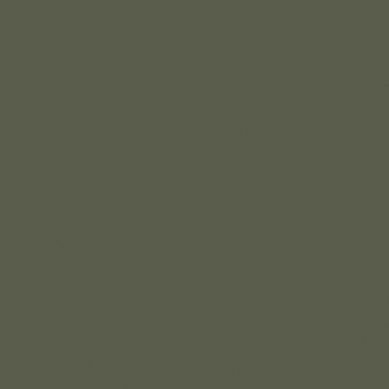 Carpol Green Cashmere Paint 3D Model A5105-A GY 06 38 13 in Beige
