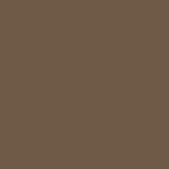 Carpolly Gorgeous Brown Wall Paint 3D Model in Beige