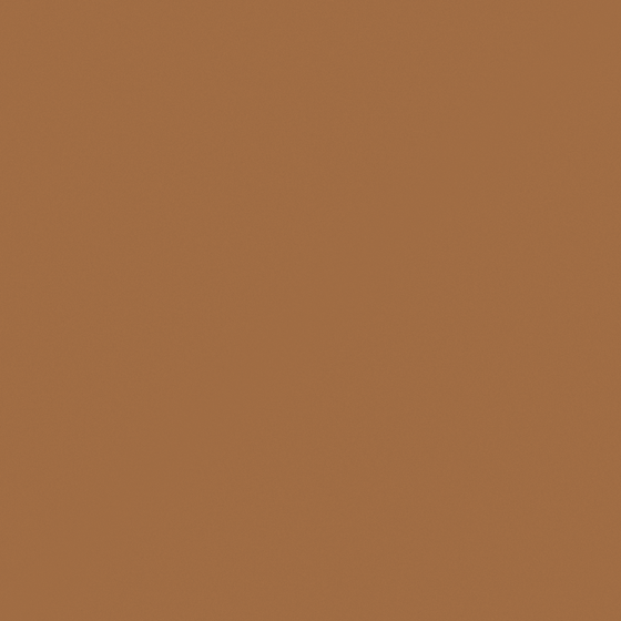 Carpolly Pecan Paint 3D Model in Wood Color