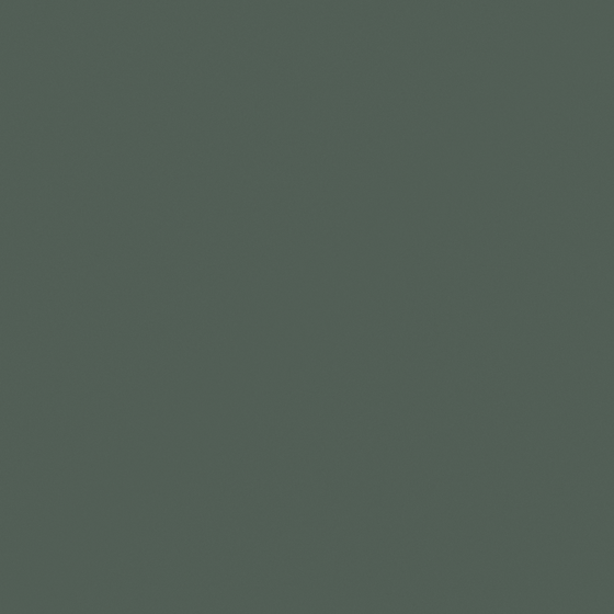 Carpolly White ChengShady Palm Wall Paint 3D Model