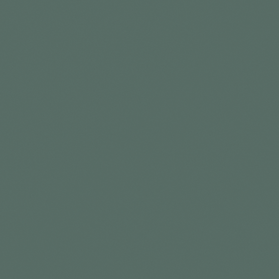 Carpolly Holly 3D Wall Paint Model in Green
