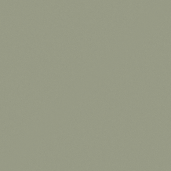 Carpoly Bean Green N3209-T GY 19 60 14