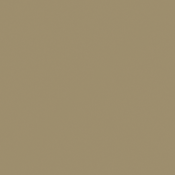 Carpolly Special Wall Paint 3D Model in Beige