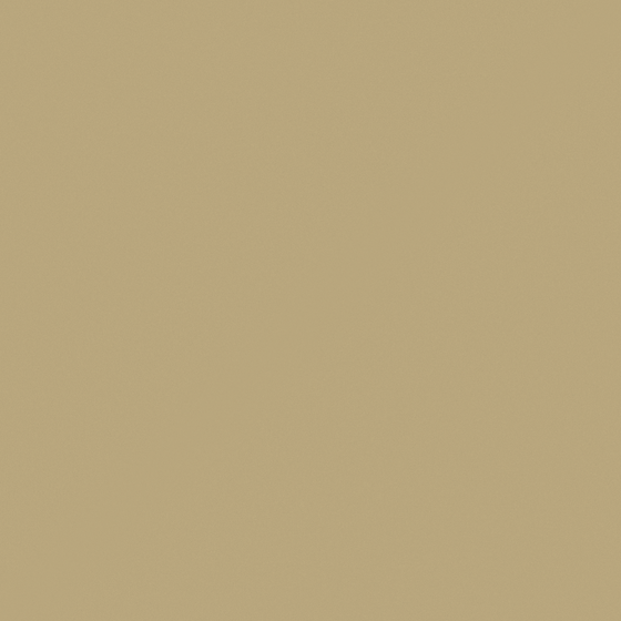 Carpolly Poplar Paint 3D Model in White