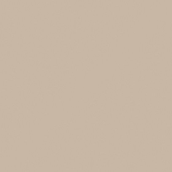Carbori Blayken Wall Paint 3D Model in Beige