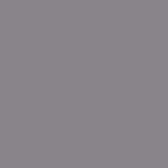 White Beech Wall Paint 3D Model for Modern Interiors