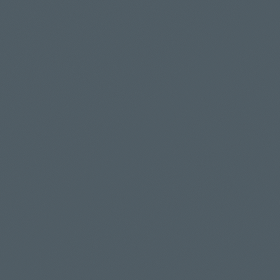 Carpolly Silent Black Wall Paint 3D Model