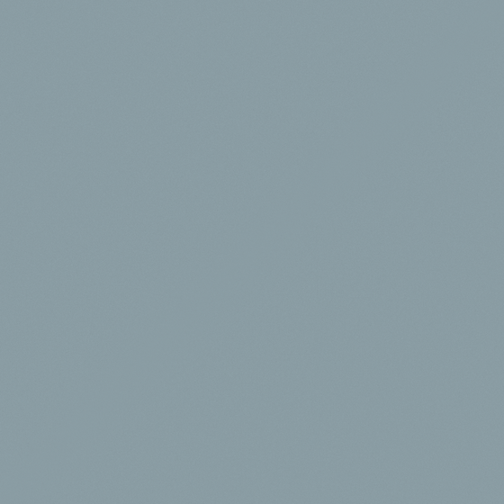 Carpolly Whale Grey Wall Paint 3D Model in White