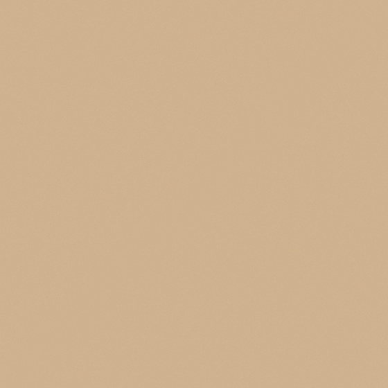Carpolly Tan N3103-T 3D Model in Wood Color