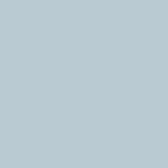 Carpoly White Wall Paint 3D Model