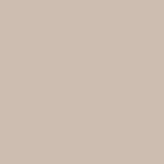 Carpolly Crimson Stone Wall Paint 3D Model in Beige