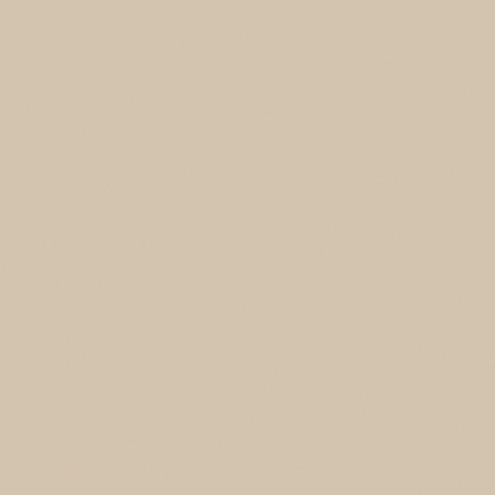 Carpolly Vitality Yellow Brown Wall Paint 3D Model in Beige