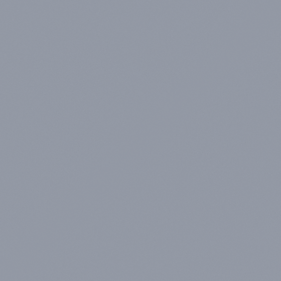 Carpolly Grey Pearl Paint 3D Model for Walls