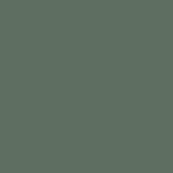 Carpolly Green Paint 3D Model for Interior Finishes