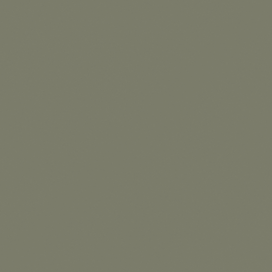 Carberry Green Pepper N3210-D GY 12 49 14