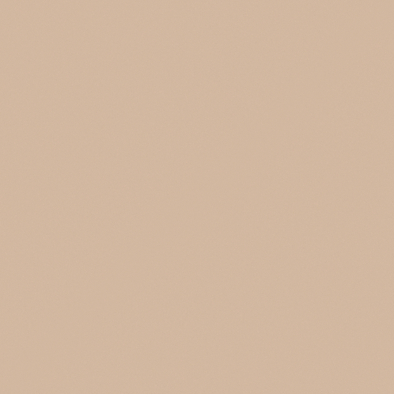 Carberry Beige Chocolate Shavings Wall Paint 3D Model