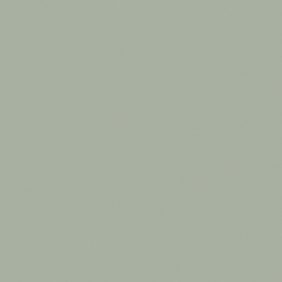 Carberry Matcha Shake N3221-T GY 61 67 09 Wall Paint 3D Model in White