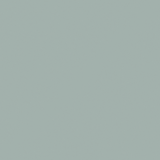 Carpolly Green Smoke N3304-P BG 44 67 07