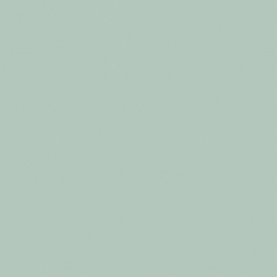 Carpol Green Island Wall Paint 3D Model in Green