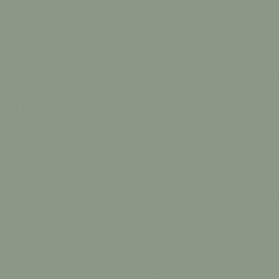 Carpol Green N3257-T GY 92 58 13 White Wall Paint