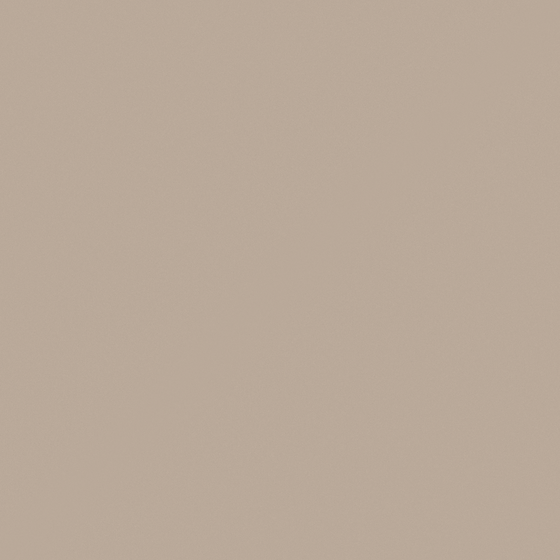 Carberry Camel Brown Wall Paint 3D Model