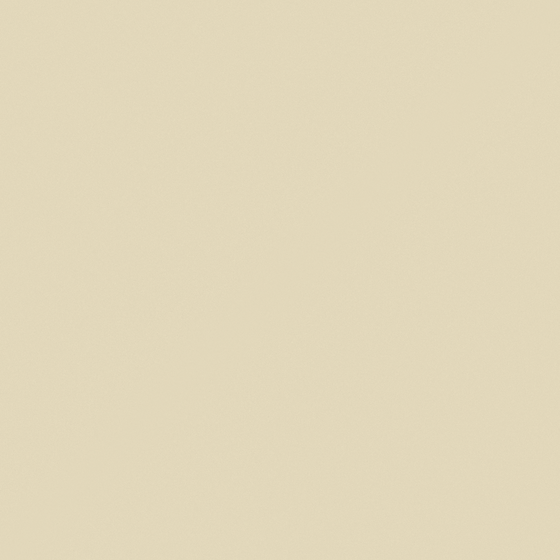 Carpolly Ceylon Ivory Wall Paint in White
