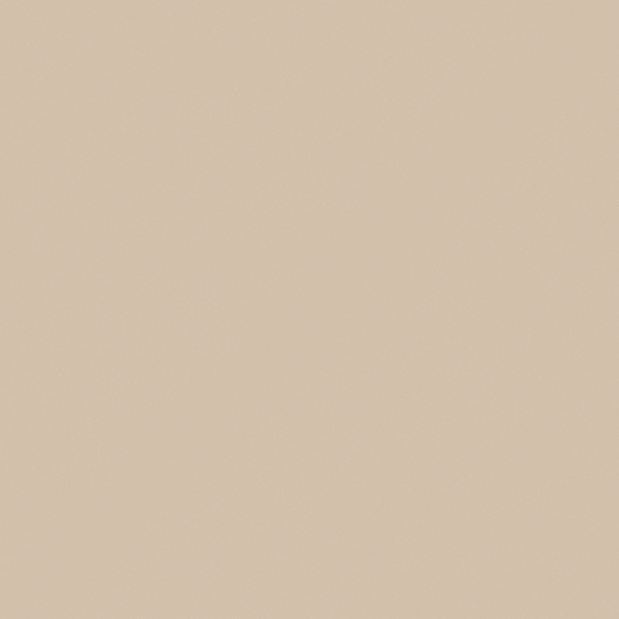 Carpolly Afternoon Milk Tea N3067-P YR 80 75 22 in Beige