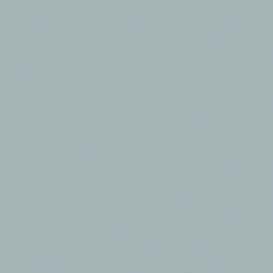 White Carpolly Micro Blue Grey N3326-P Wall Paint