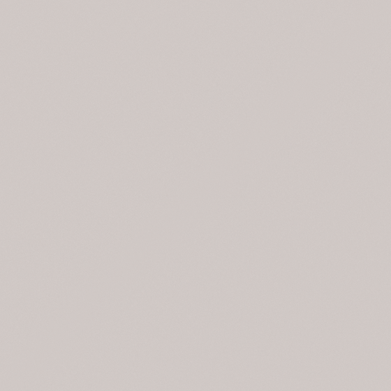 Carpolly Sturgeon Gray Paint 3D Model in White Shade