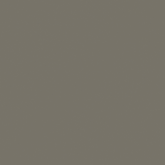 Carpolly Snow Finished Mud Wall Paint 3D Model in Beige
