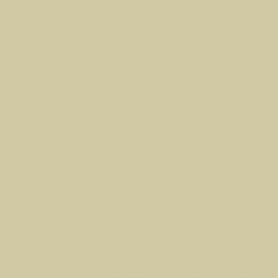 Carpolly Neolithic Wall Paint 3D Model in White
