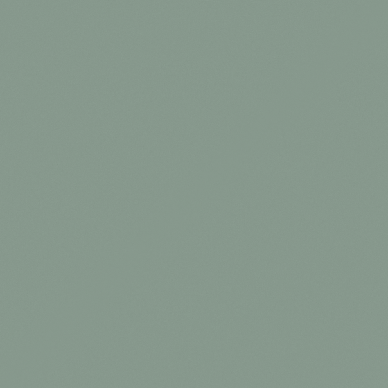 Green Carpolly Dill Paint 3D Model
