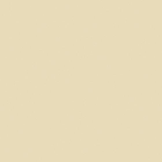 Carpolly Deep Brownish Yellow N3192-P Y 36 84 22 3D Model in White