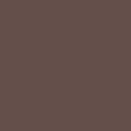 Chic Carpolly Deep Ochre N3413-A Wall Paint 3D Model in Black