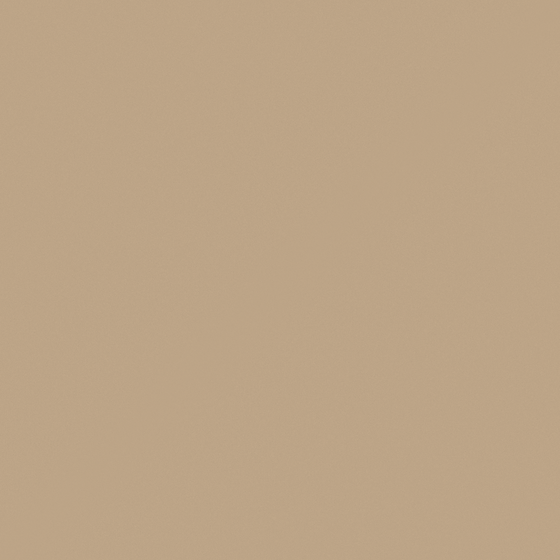 Carpolly Linen N3109-T YR 87 66 30