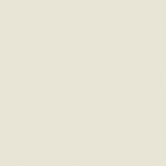 Carpolly White Wall Paint 3D Model