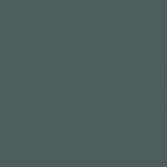 Carpolly Seed Green N3314-A B 17 37 10