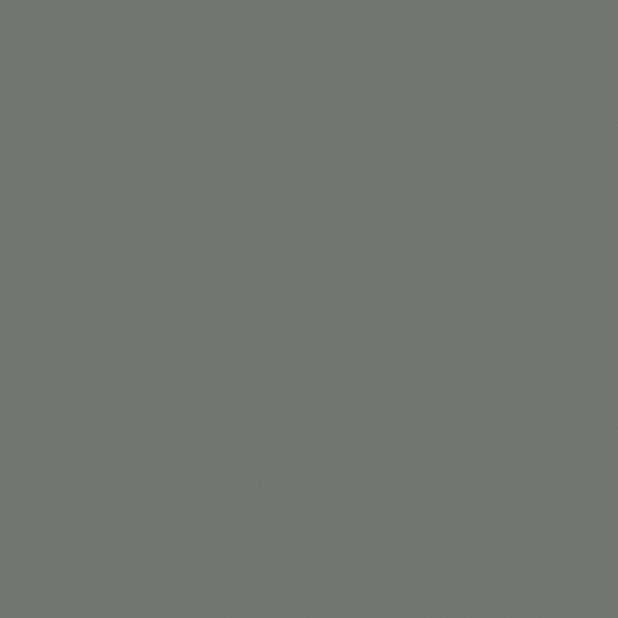 Carpolly UK Manor Wall Paint 3D Model in White Finish
