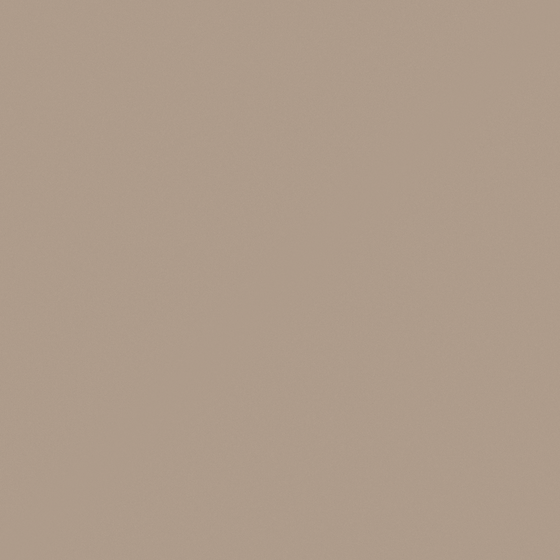 Carpolly India Brown N3046-T YR 49 62 22