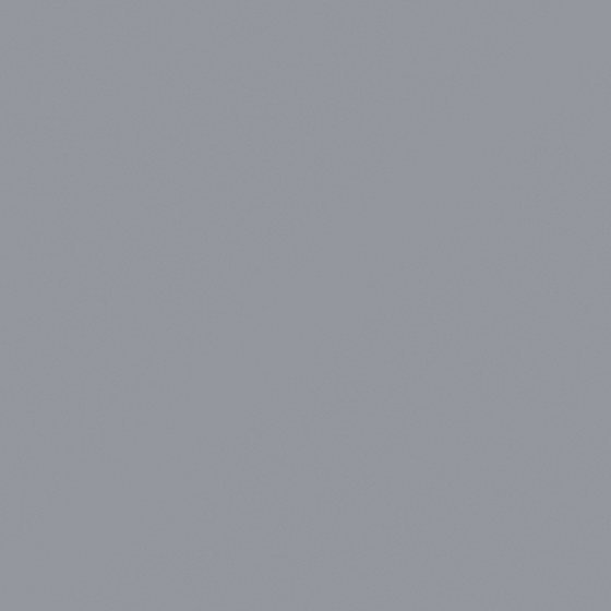 Carpolly Silver Fern N3431-T Paint in White