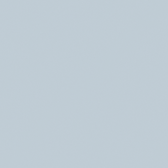 Carpolly Silver Grey N3366-P PB 44 76 20 Paint 3D Model in White