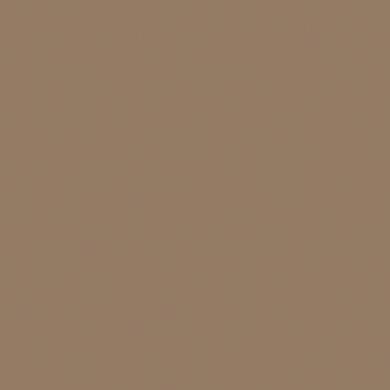 Carpolly Beige Wall Paint 3D Model