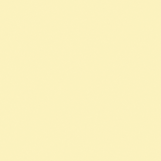 Elegant White Carpoly Rich Cheese Wall Paint Model