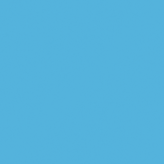 Carmine Blue Parrot 3D Model for Wall Paint