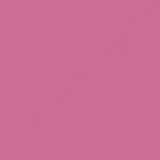 Carpolly Rose Flower Wall Paint 3D Model in Pink