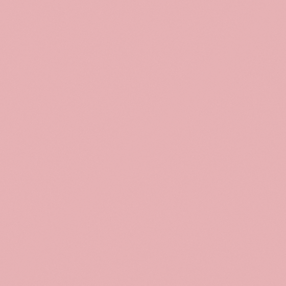 C1011-P R 07 73 58