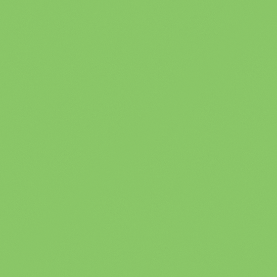 Carberry Green Bracken C1244-D GY 97 70 89 in Green