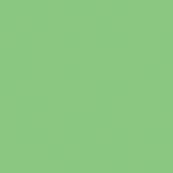 Carpolly Green Fete Wall Paint 3D Model